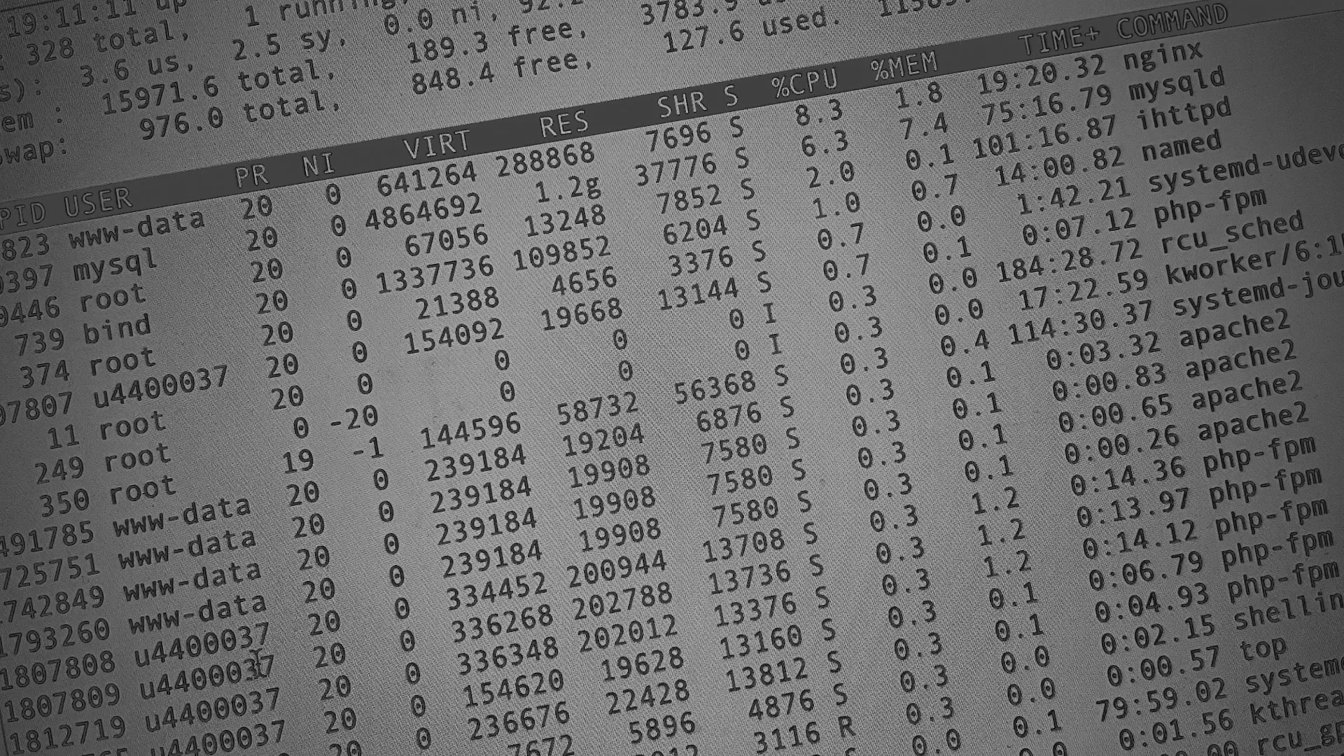 Настройка сервера в Таре