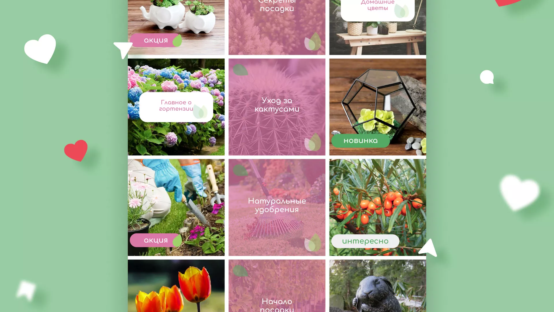 Разработка оформления профиля Instagram для магазина «Floraint» в Таре