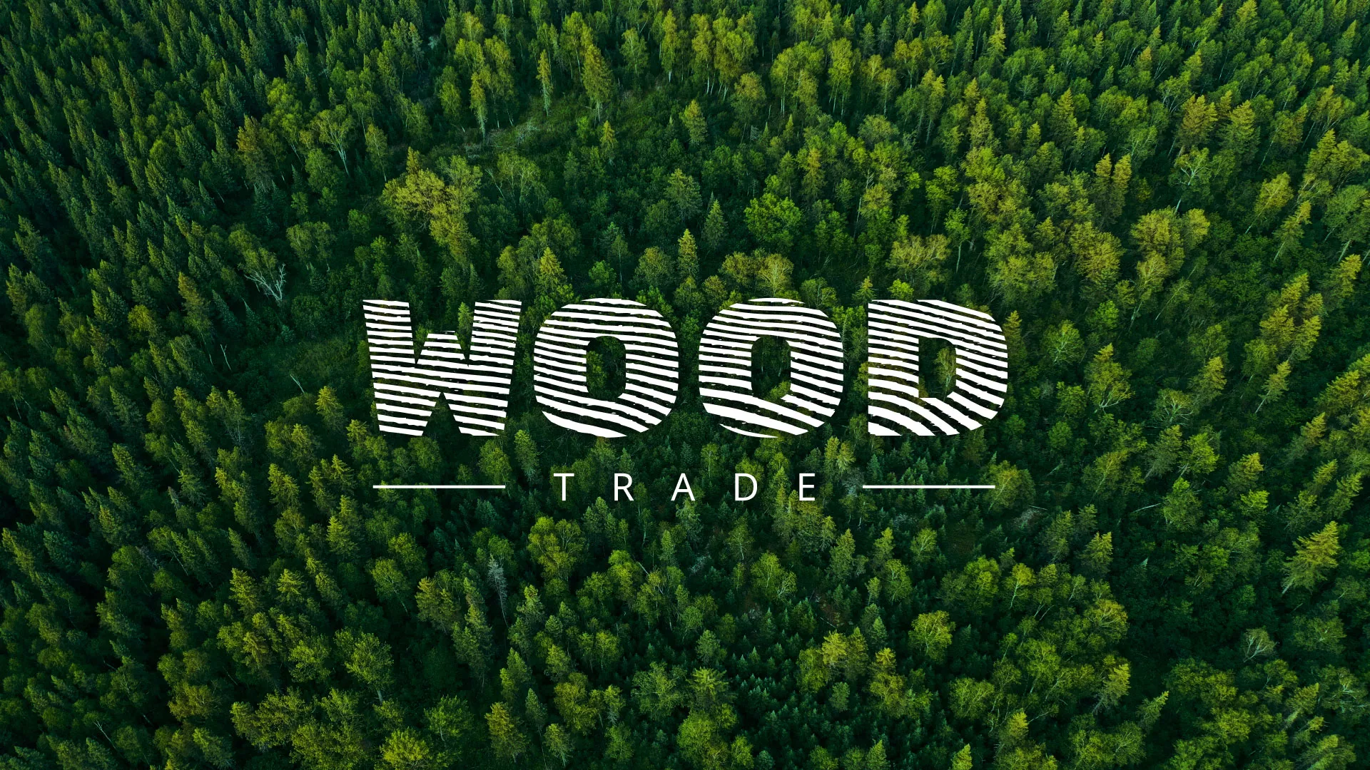 Разработка интернет-магазина компании «Wood Trade» в Таре
