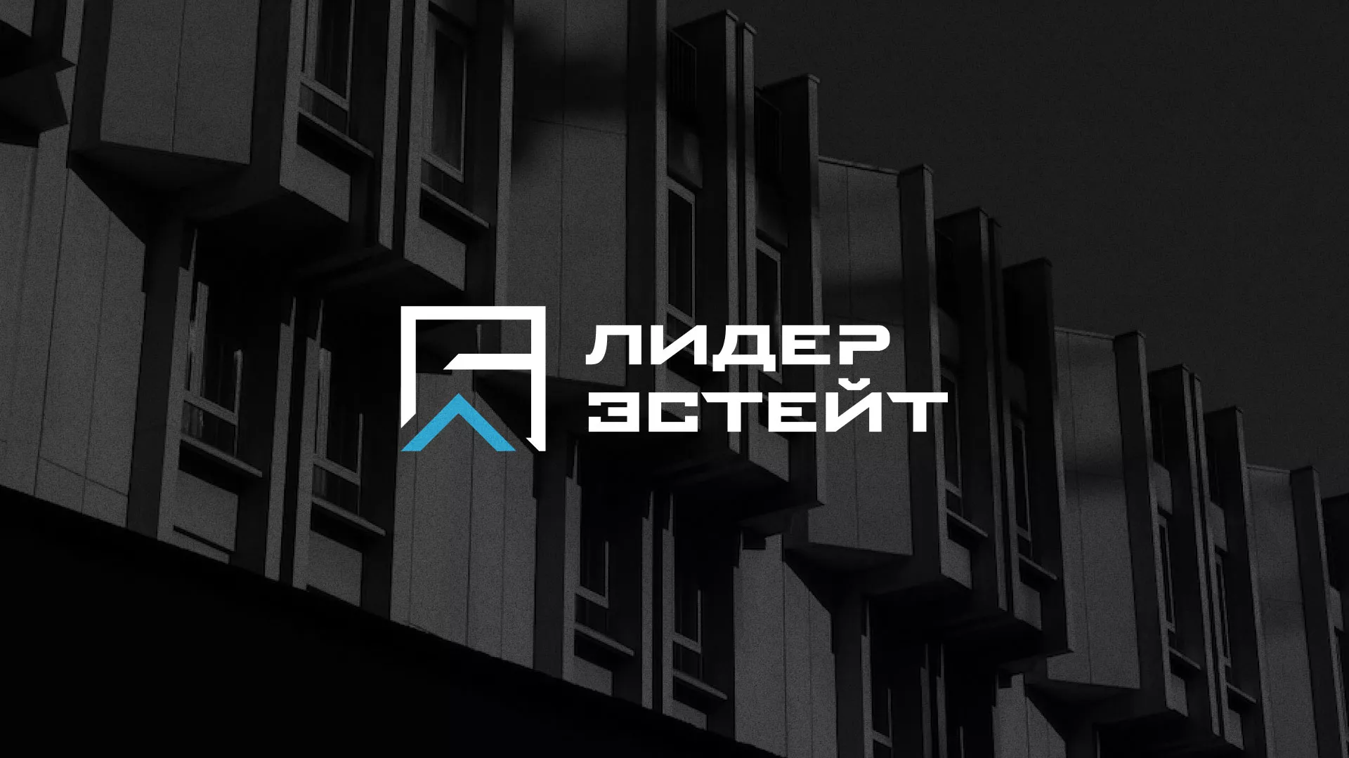 Разработка логотипа агентства недвижимости «Лидер Эстейт» в Таре